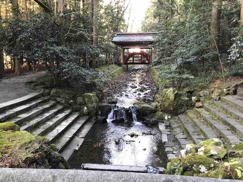 新潟県　弥彦村　彌彦神社の境内の様子